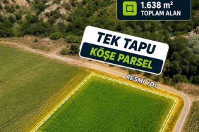 300,000₺ Edirne Meriç hasırcıarnavut tek tapu yarla