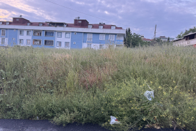 Beylikdüzü Kavaklı Satılık Arsa